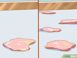 Note that yellow liquid may not just be stomach acid and bile; How To Care For A Dog After It Has Just Vomited With Pictures