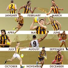 Hawthorn football club adidas home jumper 2020. Hawthorn Fc On Twitter Your Birth Month Is The Jumper Number You Re Wearing This Year