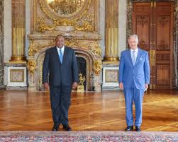 President uhuru kenyatta inspects guard of honour at kdf. Kenya President Uhuru Kenyatta Meets Belgium S King Phillipe Pan African Visions