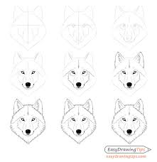 Use the initial arcs as guides to draw the rest of the wolf's muzzle. How To Draw A Wolf Face Head Step By Step Easydrawingtips