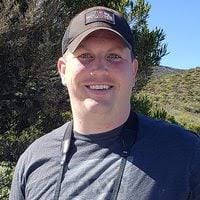 How to Prevent a Bird Strike at a Window