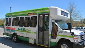 Image result for Bussea