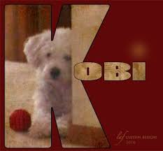Pin On My Kobi