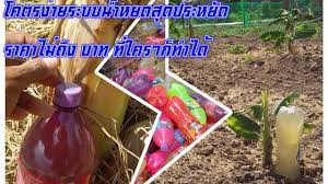 โครตอ งระบบน ำหยดส ดประหย ดแบบละเอ ยด ไม ถ งบาท ง ายๆ ท ใครๆ ก ทำได สวนผ ก ปล กผ ก การพ ฒนาตนเอง