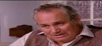 David's Little House Star Profiles and Trivia