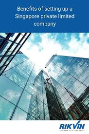 Benefits Of Setting Up A Singapore Private Limited Company Private Limited Company Limited Company Public Company