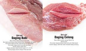 Hidangan, makanan, daging, babi, masakan, daging panggang, republik korea, daging, daging merah, yakiniku, makanan sumber hewani, daging sapi kobe, stik sirloin, samgyeopsal, domba dan kambing, daging kembali, daging kuda, daging sapi wagyu, daging sapi matsusaka, berkemah. Bedakan Daging Sapi Dengan Daging Babi Begini Caranya Inilahkoran Com