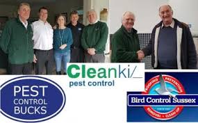 See more ideas about pests, pest control, garden pests. Cleankill Continues Expansion With Acquisition Of Pest Control Bucks And Bird Control Sussex Cleankill Pest Control