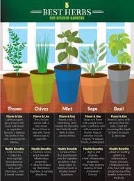 The narrow base of this indoor herb garden kit fits snuggly in windowsills or on kitchen counters just below windows. 5 Kitchen Herbs For Small Garden Spaces Fix Com
