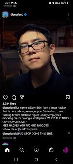 Streamer Says He Was Framed for Racist Vandalism on Disneyland Accounts