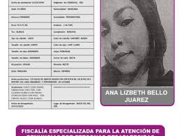 Página FGE protocolo alba