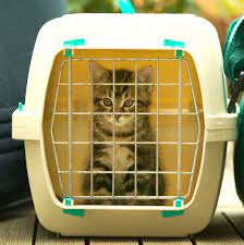 As a cozy cove meant for the backseat of a car, it has two openings for easy access and security leash clips that hold it in place, while the entire crate itself folds flat with a simple twist. 12 Best Cat Carriers 2021 The Strategist