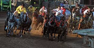 News talk 770 welcomes stampede shaker at fort calgary on wednesday, july 12. Things To Do In Calgary What To See Where To Eat And Where To Stay