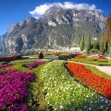 Mark Boscaini On Instagram Giardini Italiani Di Punta Lido Rivadelgarda Italy Travel Lake Garda Natural Landmarks