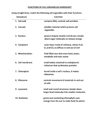 We did not find results for: Cell Organelles Worksheet With Answers Teaching Resources
