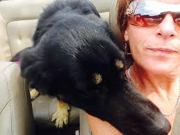 Stacy Pacella (@h_stacypacella)