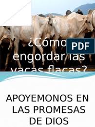 We did not find results for: Como Engordar Las Vacas Flacas Creencia Religiosa Y Doctrina Religion Y Creencia