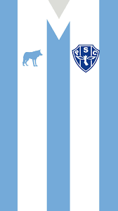 O maior campeão da amazônia! Paysandu Papeis De Parede Wallpaper De Tela Camisas De Futebol