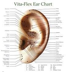 vita flex charts our oil well young living essential oils