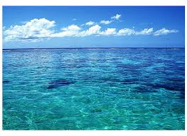 Is Salt Water Good For Your Skin You May Be Surprised Renee Rouleau