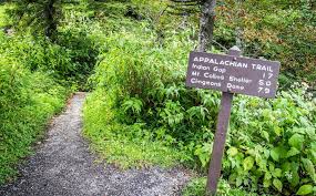 Check spelling or type a new query. National Park Service Reveals Top 5 Most Popular Hikes In The Smoky Mountains