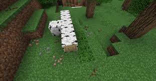 For more information on cactus green. Project Vibrant Journeys V1 5 0 Enhance Your World With New Biomes Trees Mobs And More Now With Biomes O Plenty Support Minecraft Mods Mapping And Modding Java Edition Minecraft Forum Minecraft Forum