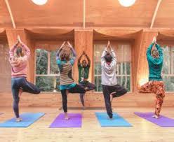 Our vision is to build strong kids, families and communities by encouraging health and wellbeing. Kawai Purapura Yoga Retreat Centre Resort In Auckland Easy Online Booking