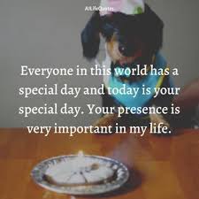 Aren't you scared that the mirror dimension you is going to crawl out of it in the middle of the night and kill you? Best Dog Birthday Quotes Wishes Captions And Card Sayings