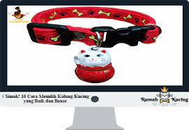 Hal yang merepotkan saat memelihara kucing adalah saat kita harus memberihkan kotoran nya, apalagi jika kotorannya yang bau. Simak 10 Cara Memilih Kalung Kucing Yang Baik Dan Benar