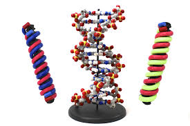 Begin your niche perfume discovery journey with curated sets and samples of the best niche fragrance houses. Dna Discovery Kit Libcal Walter Schroeder Library