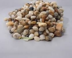 Hình ảnh về Sỏi biển nâu