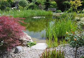 Wenn sie über genug freien platz im garten verfügen, können sie sich gerne einen elysäischen gartenteich gönnen. Schwimmteich Garten Und Landschaftsbau Haringer Gmbh