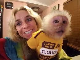 Usually Active/not so active-05