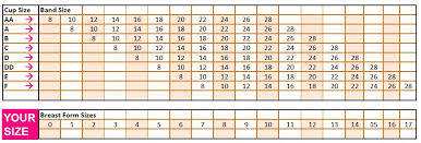 Breast Prosthesis Size Chart Optimal Intimates