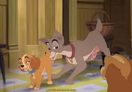 Lady and the tramp toughy