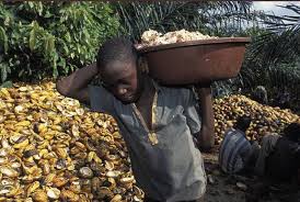 Für die deutschen exporte spielt die elfenbeinküste als markt nur eine sehr untergeordnete rolle, sie belegen in der außenhandelsstatistik den 114. Immer Noch Bittere Schokolade Kinderarbeit In Ghana Und Auf Kakaofarmen Der Elfenbeinkuste Steigt Bitter Chocolate Child Labour Rising In Ghana And Ivory Coast S Cocoa Farms Study Netzfrauen Netzfrauen