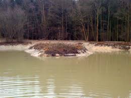 Learn about the average cost of installing a garden pond. Creating A Woodland Pond And Encouraging Pond Life Woodlands Co Uk