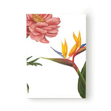 Ca sa aveti dovada unei picturi realizate 100% manual, va trimitem pe email poze cu schita din creion, etape ale picturii si evident poza cu tabloul. Slave Automatically Temperate Floare Planta Creion Burlingtoncode Org