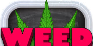 Utilice nuestra aplicación happymod para descargar cualquier archivo apk. Weed Firm 2 Back To College Mod Apk Apkdlmod