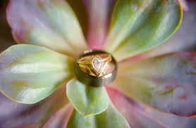 Maybe you would like to learn more about one of these? Michigan Wedding Photography Portfolio Top Rated Wedding Photographer Near Detroit S Wedding Photo Gallery