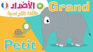 الأضداد بالفرنسية للأطفال تعليم المفردات و عكسها باللغة الفرنسية تعل Learn French French Vocabulary Opposite Words