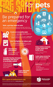 Shelter life insurance company ventured into insurance business in 1959. Pet Fire Safety Infographic Pet Health Insurance Tips