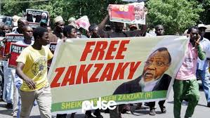 Convoy of heavely arms security operatives. Ci Gaba Da Rike El Zakzzaky Zai Kawo Matsalar Tsaro Masanin Tsaro