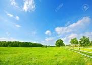 Summer Bright Landscape, Blue Sky And Green Fresh Grass Stock ...