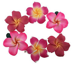 Pack Of 50 Pieces Beautiful Colorful Handmade Mini Diameter 1 4 Artificial Frangipani Plumeria Hawaiian F In 2020 Lily Flower Hawaiian Flowers Artificial Silk Flowers