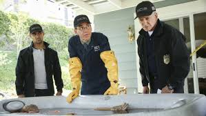 Vous pouvez prendre chaque partie d'un hébergeur différent pour télécharger plusieurs fichiers en parallèle. N C I S En Replay Revoir Toutes Les Emissions De N C I S En Replay