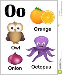 Its name in english is o plural . Things That Start With O For Preschool Teaching Treasure