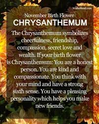 Check spelling or type a new query. November Things Flowers Can Represent Birthdays In Each Month Of The Year And Us November Babes Are Blessed With Chrysanthemum Facebook