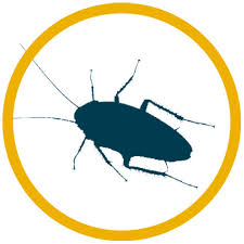 Let our professional and friendly staff give you that peace of mind of getting rid of those unwanted pests in and around your home. Pest Control Termite Protection Lawn Care Services Massey Services