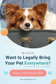 Want To Legally Bring Your Pet Anywhere You Live Or Travel In 2020 Pets Emotional Support Animal Pretty Dogs